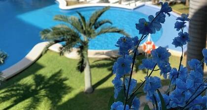 ✽ OCEAN VIEW and BEACH FRONT ✽ 4 adults + kid + bby