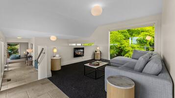 Smart TV, fireplace, books