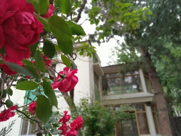 Exterior - Guest House One (Skardu)