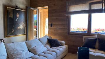 Smart TV, fireplace, music library, stereo