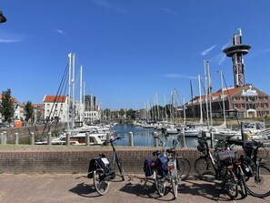 Marina - Situated directly behind the dunes, cosy holiday home where 1 dog is welcome (Koudekerke-Dishoek)