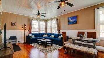 Flat-screen TV, Netflix, streaming services