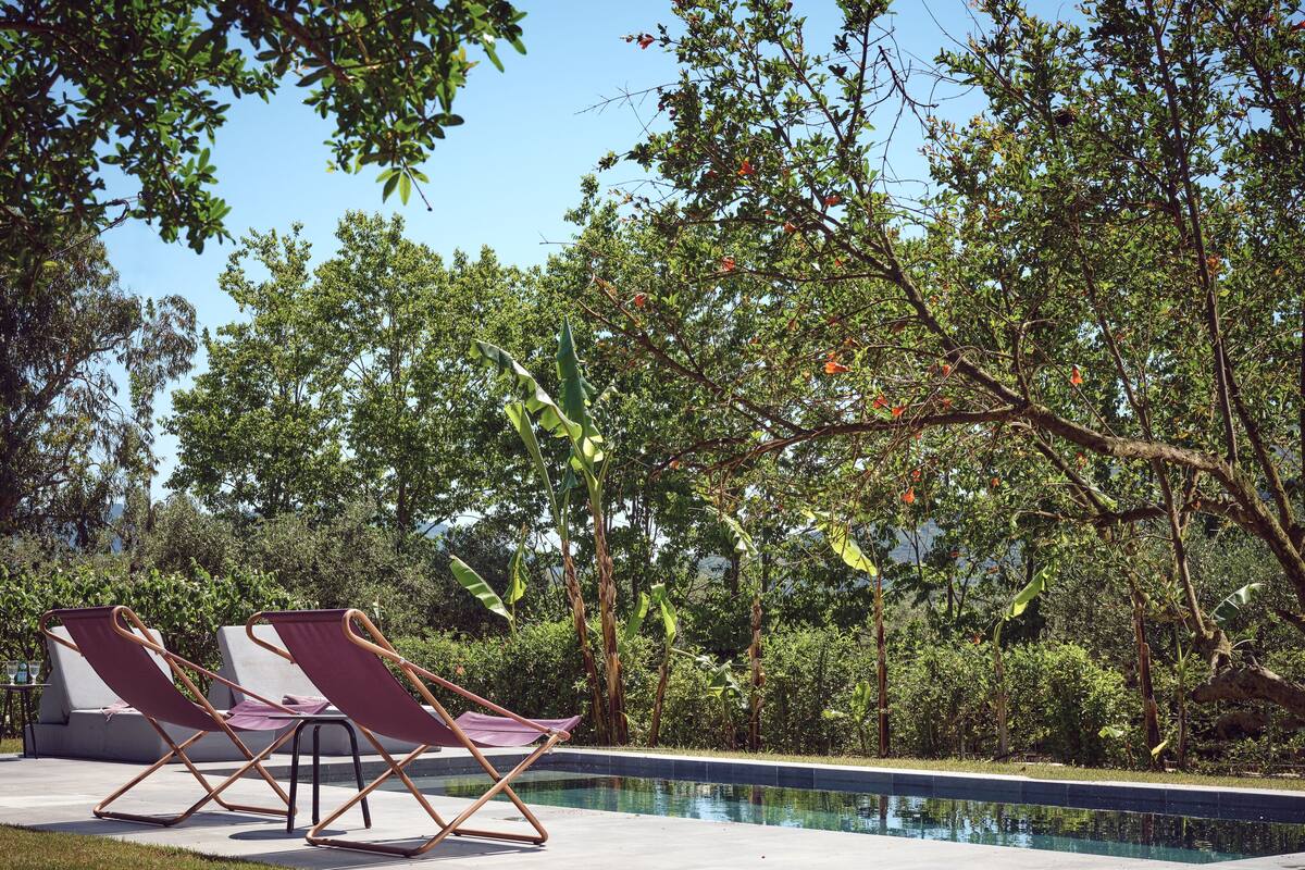 A pool area with two lounge chairs and a clear view of the pool.