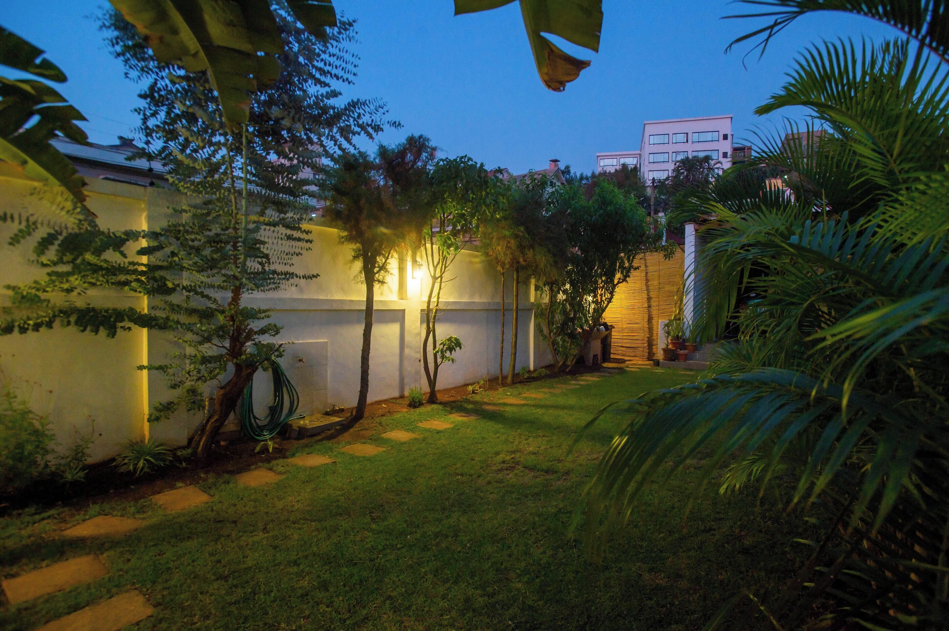 Un jardin bien entretenu, avec un chemin pavé, un petit arbre et un bâtiment en arrière-plan.