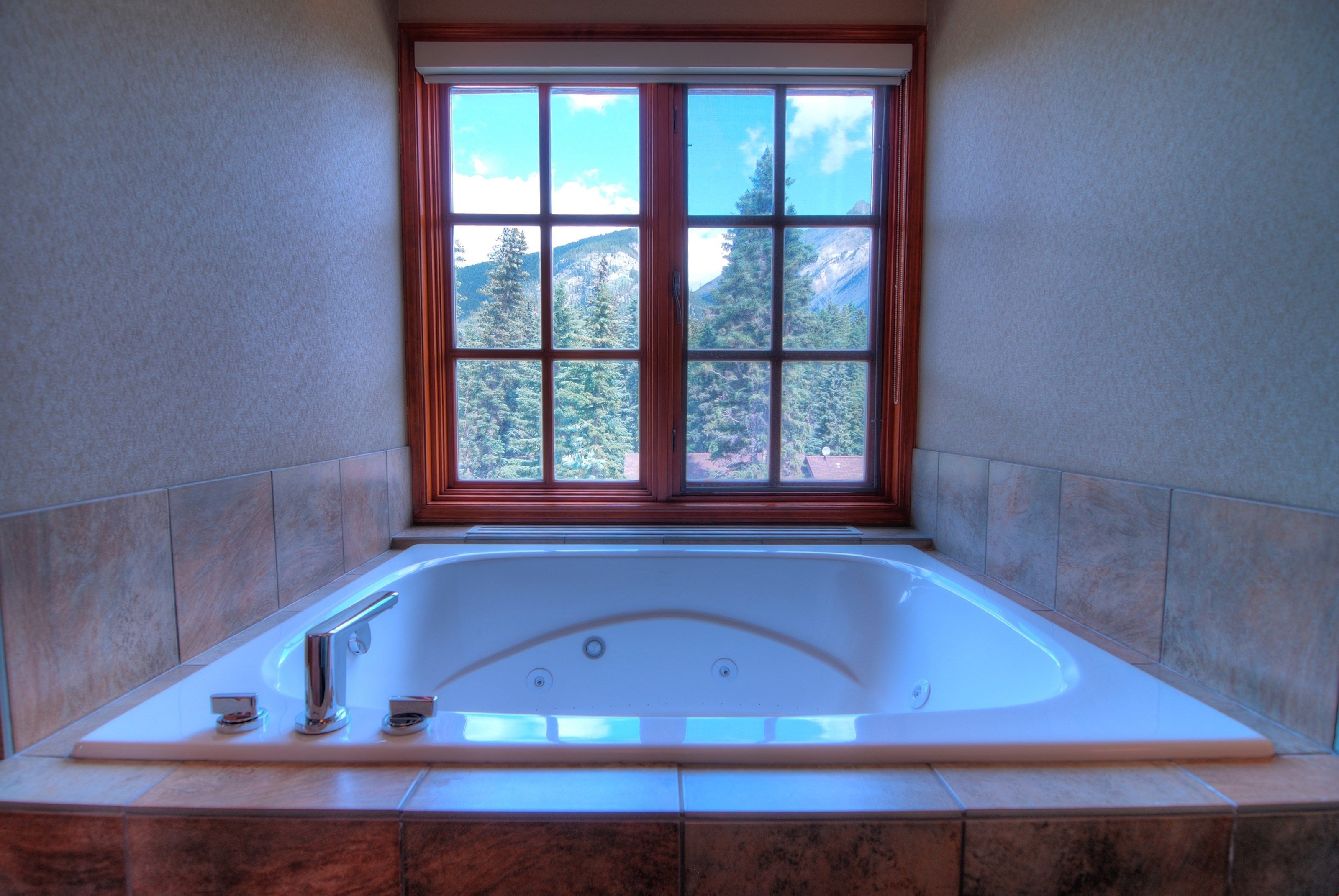 吹风机、毛巾、肥皂、卫生纸