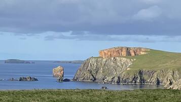 واجهة المنشأة