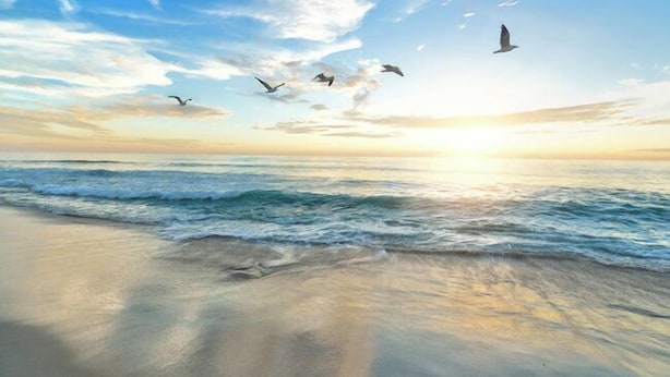 Ein Strand mit Wellen und Vögeln im Himmel.
