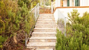 Una escalera de piedra que conduce a un edificio con contraventanas verdes, rodeado de vegetación.
