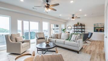 Smart TV, fireplace, books