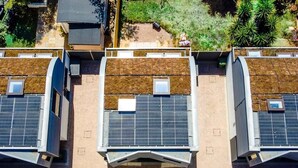 Un toit-terrasse équipé de panneaux solaires et d’un toit végétalisé.