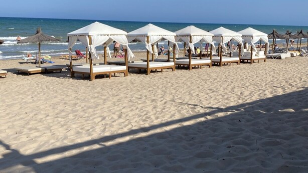 A beach with rows of white canopies and wooden lounge chairs.