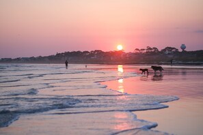 Plage