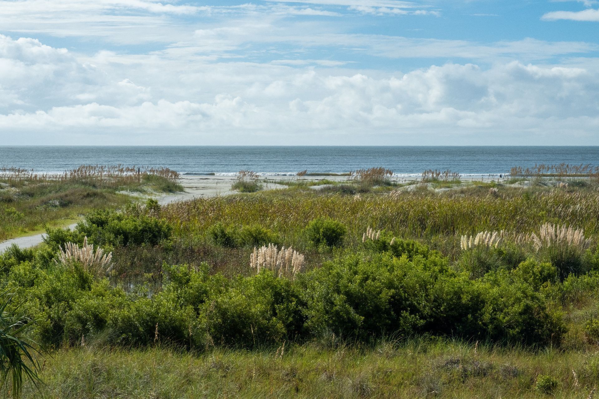Strand