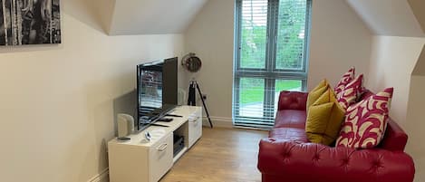 Smart TV, computer monitors