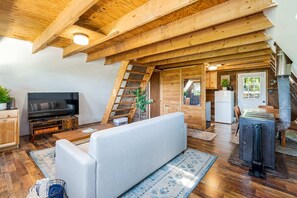 Televisio, takka, kirjoja, stereot