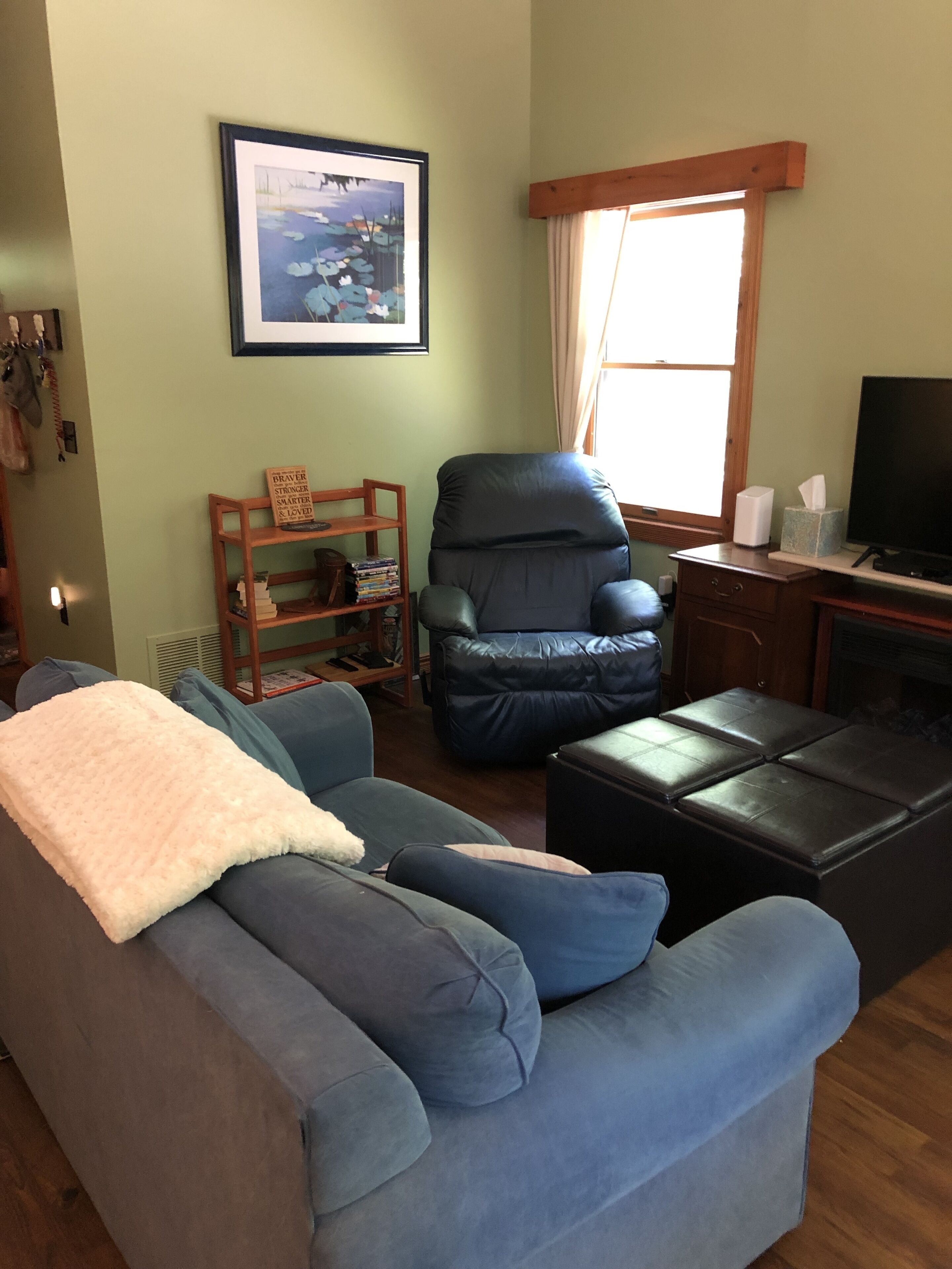 智能電視、壁爐、足球機、書籍