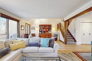 TV, fireplace, books, music library