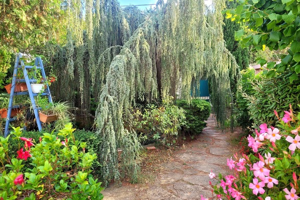 Jardin méditerranéen à l'entrée