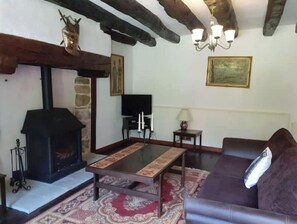 Televisie, een open haard en boeken