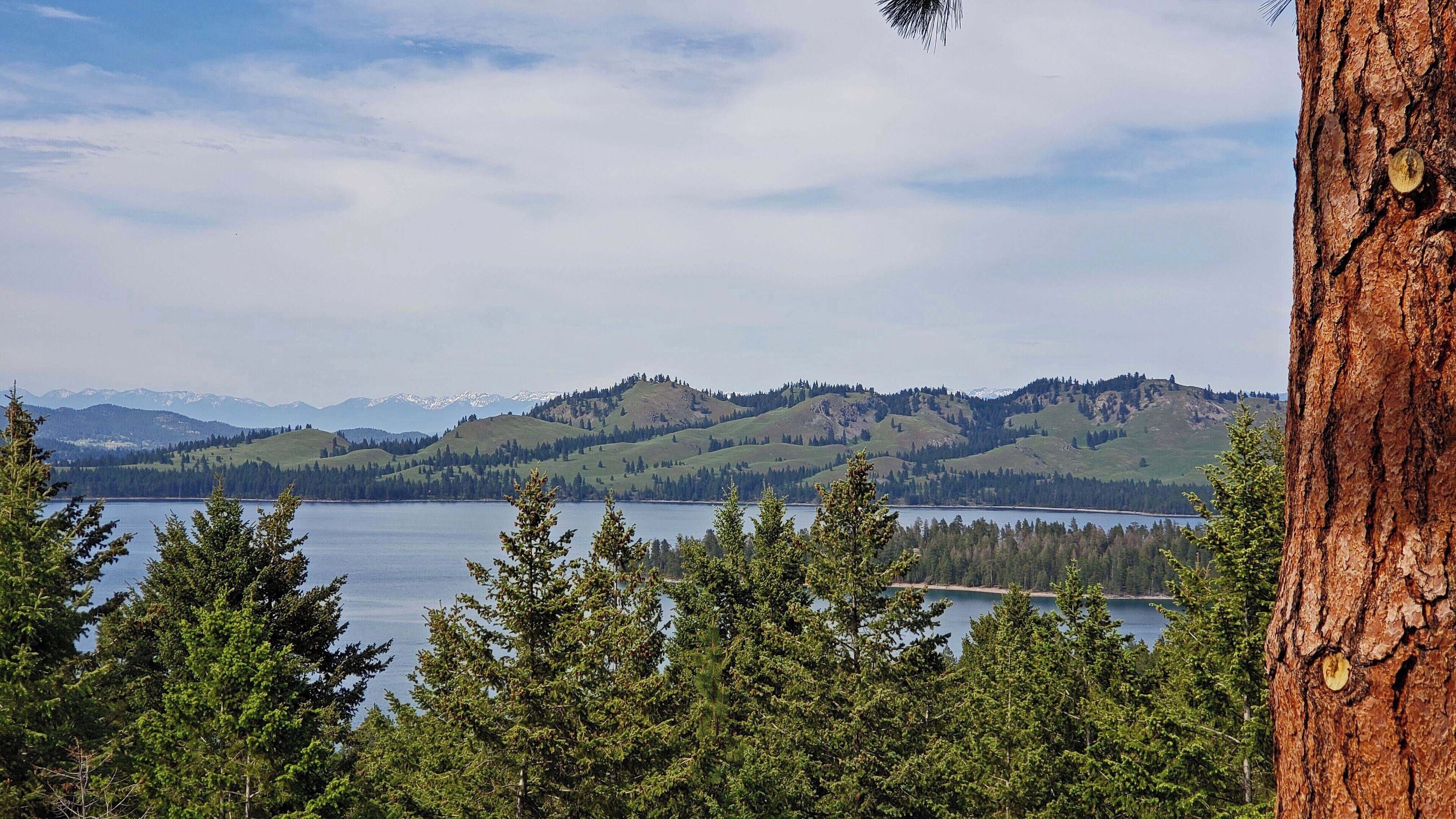 A lake surrounded by forested hills and mountains.