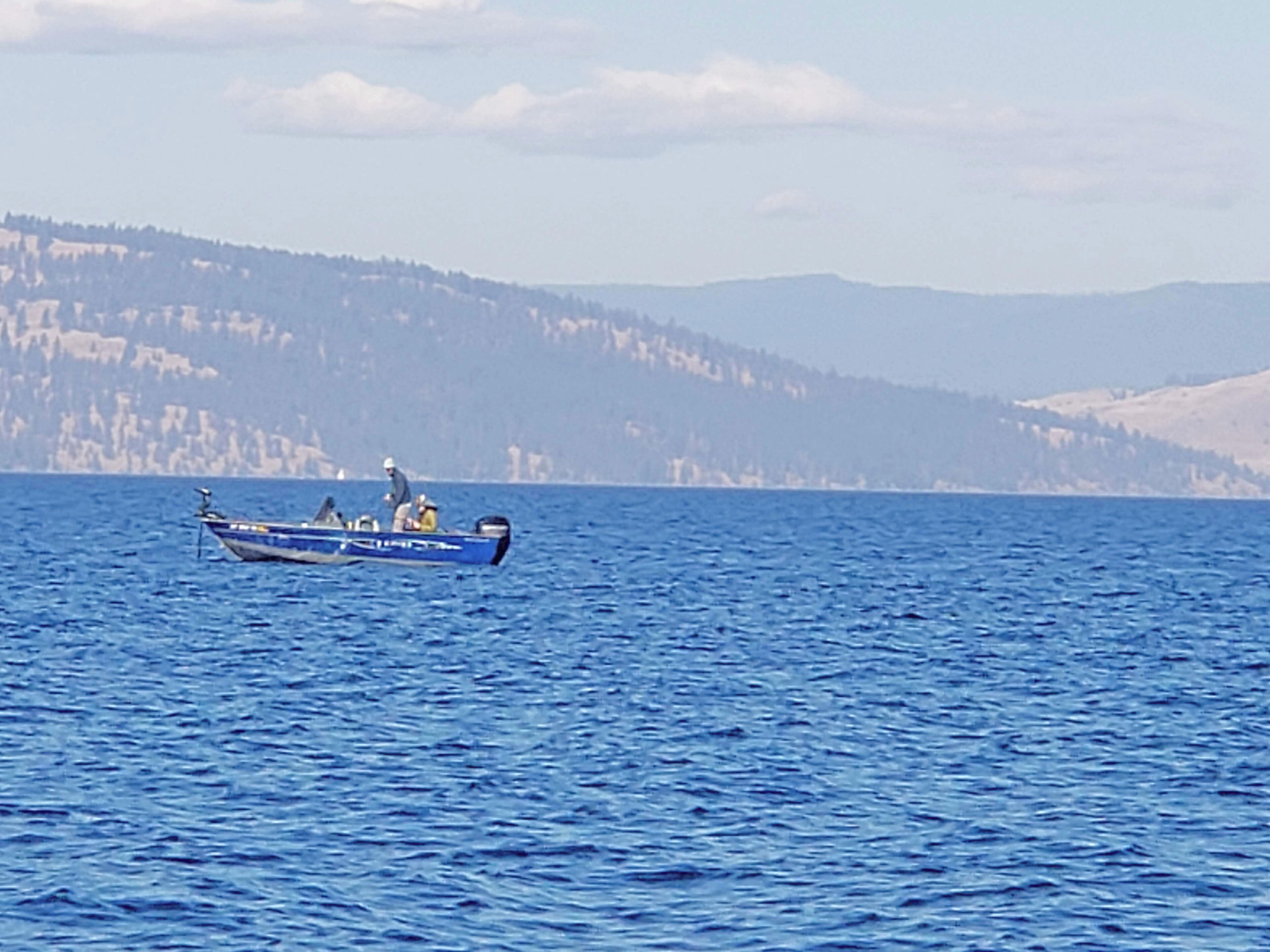 Un bateau sur une étendue d’eau importante, avec une rive boisée en arrière-plan.