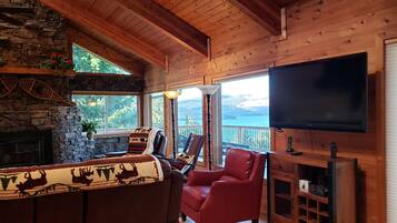 智能電視、壁爐、電子遊戲、DVD 播放機