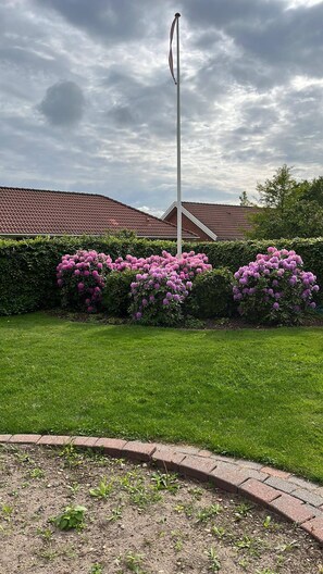 Terrein van de accommodatie