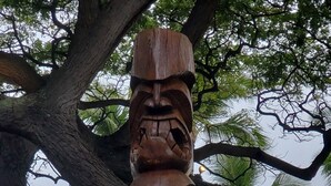 Un totém de madera con una placa, rodeado de plantas tropicales y un pedestal de piedra, con árboles y un coche al fondo.