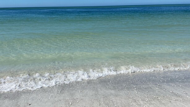 A beach with clear shallow water and a sandy shore. - Gated, NO stairs, NO carpet 1 min walk to lakefront POOL, PICKLEBALL/TENNIS (Sarasota)