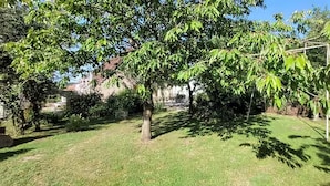 A tree-lined outdoor area with a grassy lawn and a metal structure.