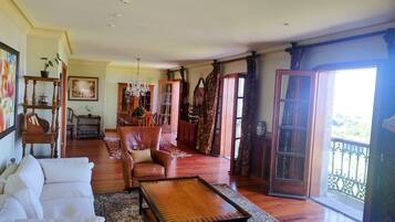 TV connectée, cheminée, livres