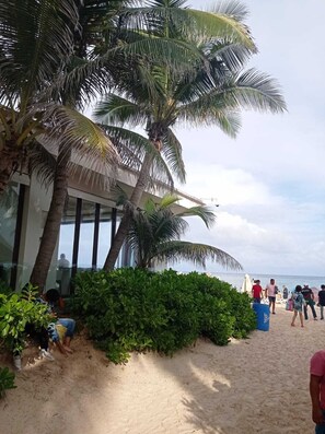 A beachside building with large windows overlooking the ocean, surrounded by palm trees and greenery.