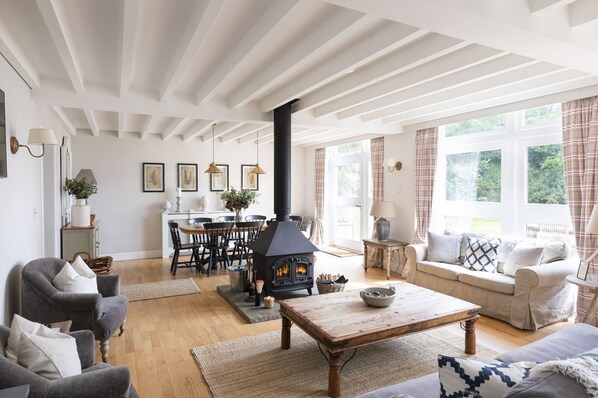 Smart TV, fireplace, DVD player, books