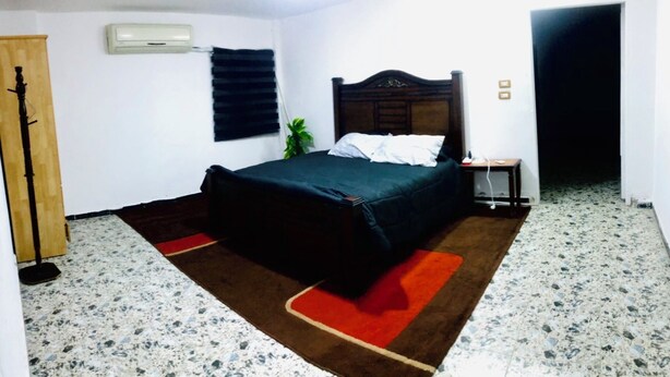 A bedroom with a bed, a nightstand, a plant, and a door.