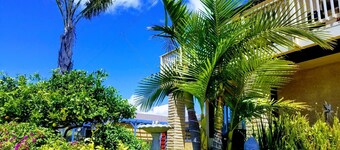 Tropical Retreat Close to Beach