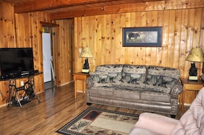 TV, fireplace, DVD player