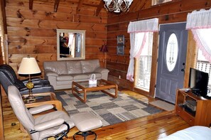 Televisión, chimenea y reproductor de DVD 