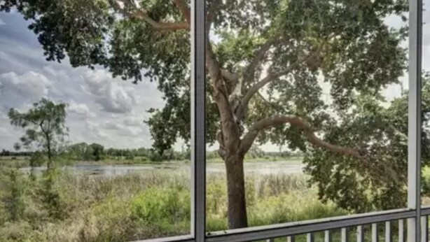 A view from a balcony with a metal railing, overlooking a grassy area with trees and a body of water. - Huge Screened Patio That Overlooks Lake Buck, Near Famous Attractions!! (Kissimmee)