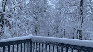 A snow-covered wooden deck with a railing, surrounded by trees.