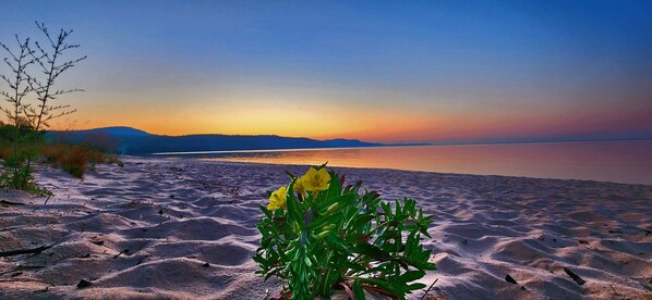 On the beach, sun-loungers, beach towels