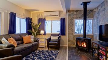 Smart TV, fireplace, books