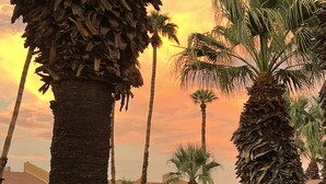 Ein Resort mit Palmen, einem Schwimmbad und einem Sonnenuntergang im Hintergrund.