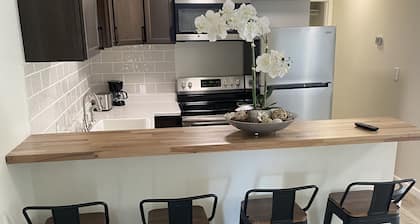 Beauty one-bedroom apartment mins for downtown. In mid-town