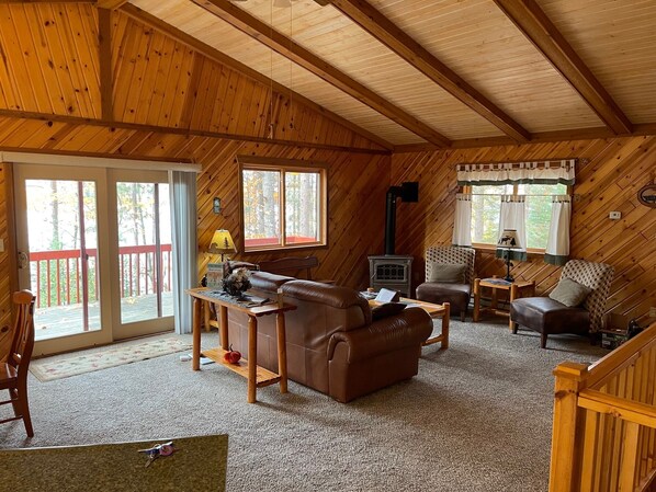 Televisión, chimenea, reproductor de DVD y libros 