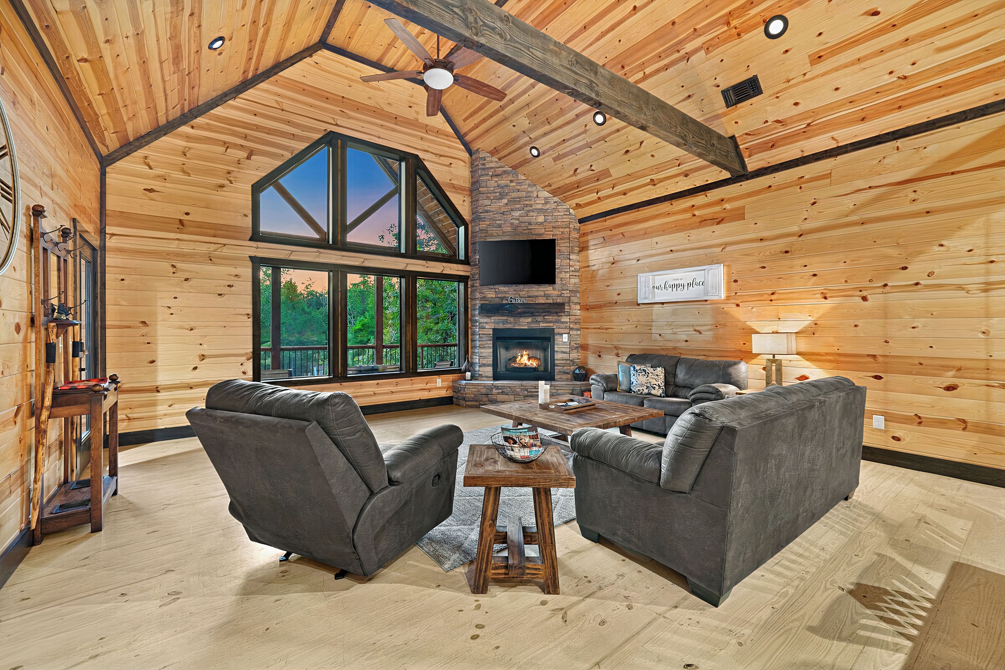 Smart TV, fireplace, books