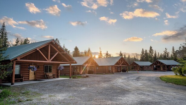A row of log cabins with a gravel driveway and surrounding forest.