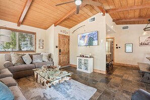 Smart TV, fireplace, books