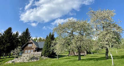 Cozy apartment in the heart of the Krkonose Mountains