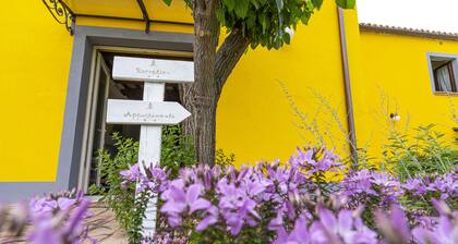 L'Olmo di Casigliano, apartment Ginestra 3 places