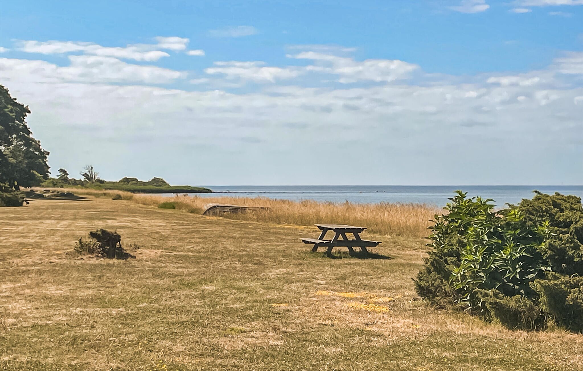 A grassy area with a picnic table and a bench, overlooking a body of water.